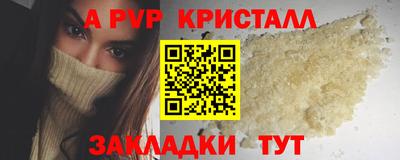 индика Бийск