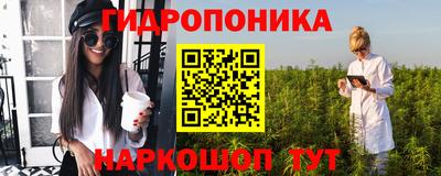 индика Бийск