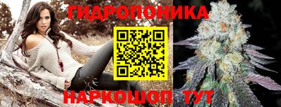 индика Бийск