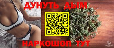 индика Бийск