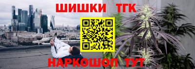 индика Бийск